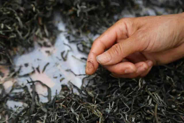 地点:易武 时间:2015年4月17日 昵称:乾利贞宋聘号&middot;施继泉