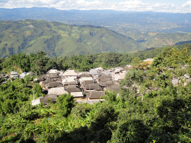普洱茶圣地之景迈古茶园