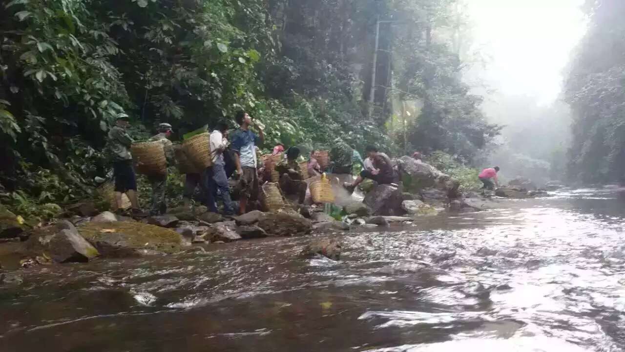 茶农溯溪去茶树的路上