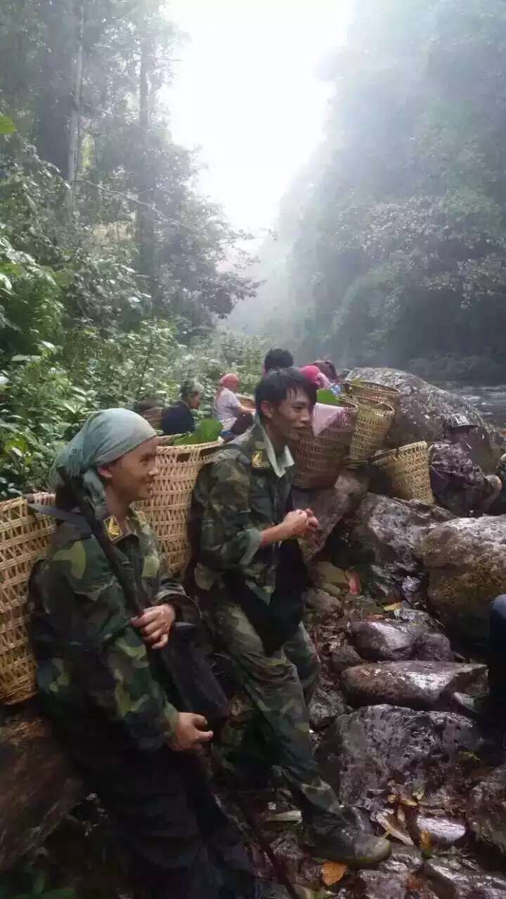 茶农溯溪去茶树的路上