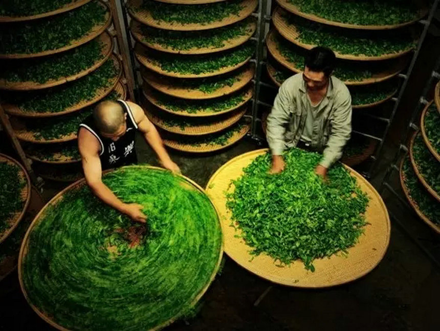 青字在茶叶中反复出现您懂吗