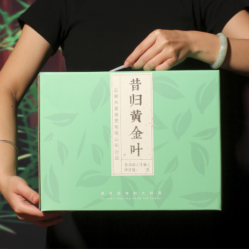 【已售罄】昔归古树黄金叶 老黄片 普洱茶生茶 散茶 2023年 888克/盒