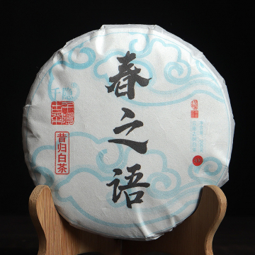 千隐古茶2024年 春之语 昔归白茶 200克/饼 云南白茶
